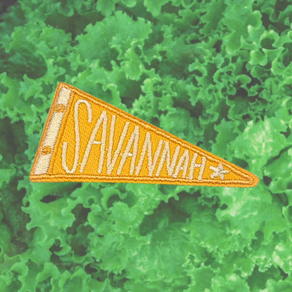 SAVANNAH PENNANT FLAG PATCH